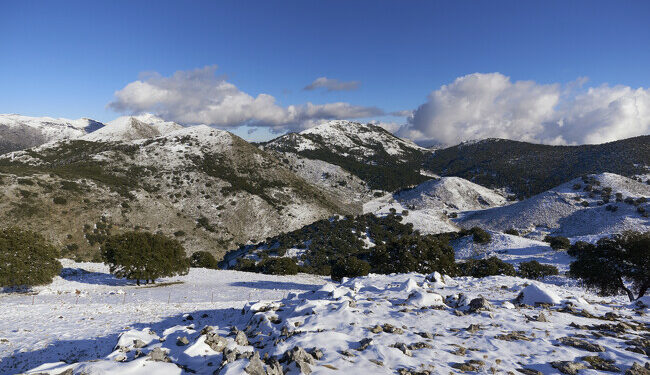 Nevada en el Parque Nacional de la Sierra de las Nieves