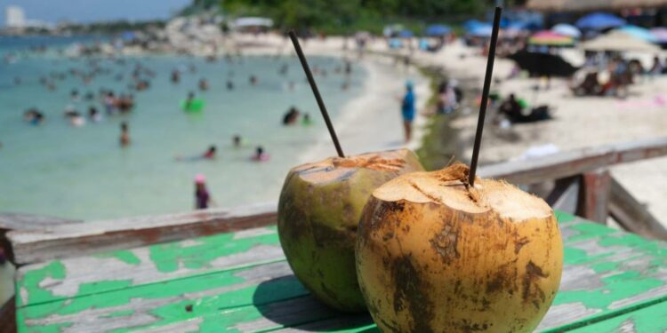 Cuándo es mejor reservar para ahorrar en viajes – El Financiero