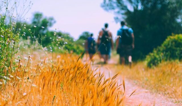 EMPRESA / Las principales rutas del Camino de Santiago, por Viajes Camino de Santiago