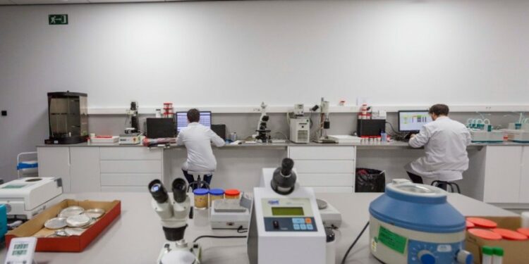 El premio “Fundación Vicky Foods a la investigación en nutrición y salud” lanza su II edición