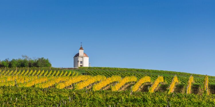 12 destinos vinícolas para visitar este otoño Szekszrd Hungría