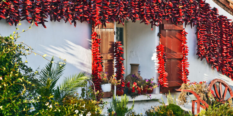 Los pimientos del pueblo de Espelette (Francia).