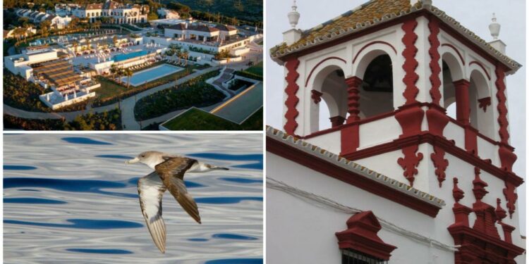 Fuentes de Andalucía, Tarifa y Sotogrande, nuestros destinos de esta semana - Málaga