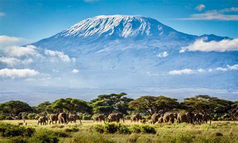 Clima, Comunidad y Elección: Conoce las Tendencias en Viajes Sustentables durante 2022