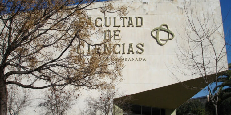 La Universidad de Granada busca agencia de viajes