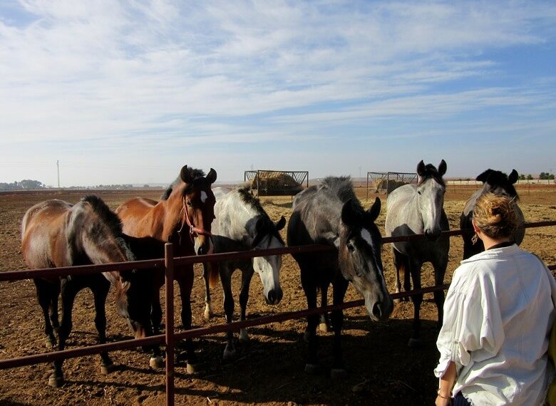 mejores lugares de Andalucía para hacer excursiones a caballo