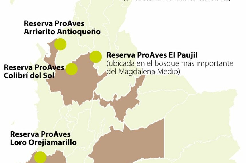 Los cielos de Colombia, una potencia para el avistamiento de pájaros y aves