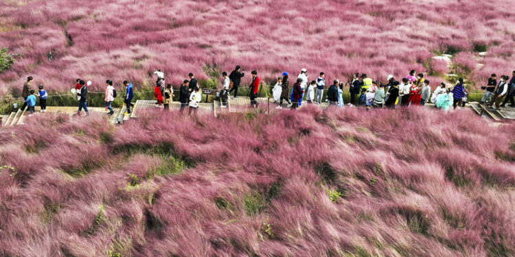 Los visitantes caminan a través de una atracción en un parque de Zaozhuang, provincia de Shandong, 8 de octubre del 2022. [Foto: Hong Xiaodong/ China Daily]