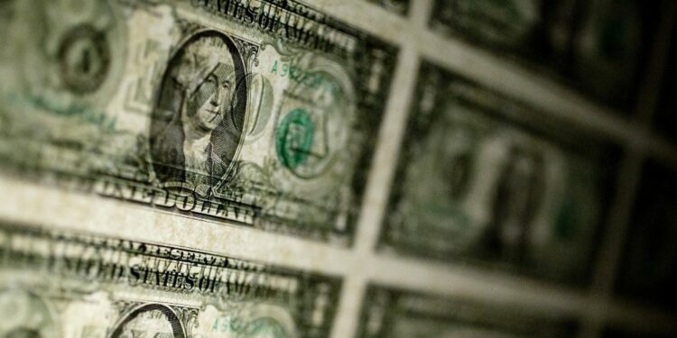 National Foods Holdings, de Zimbabue, cotizará en el mercado de cambio de dólares