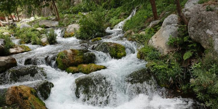 Descubre el encanto de Rayones al sur de Nuevo León