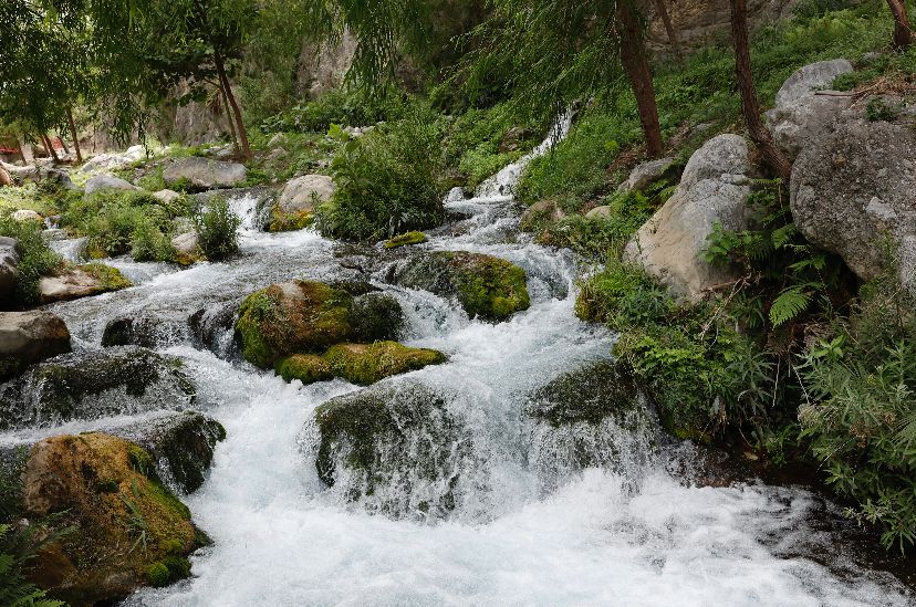 Descubre el encanto de Rayones al sur de Nuevo León