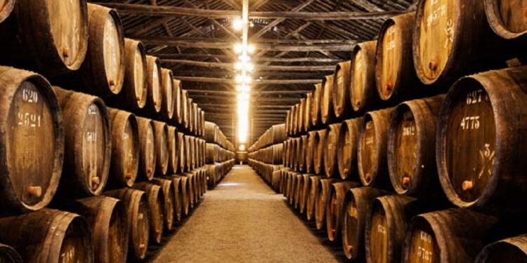 Presentadas en Valencia las Rutas del Vino de Castilla-La Mancha