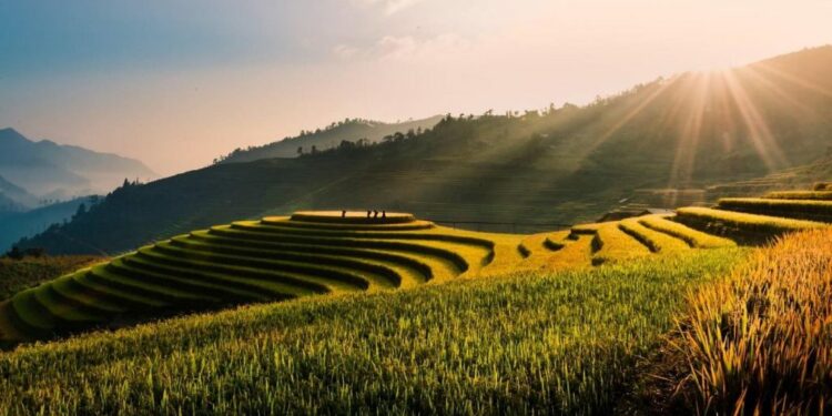 Protege el medio ambiente en Vietnam con viajes sostenibles 1