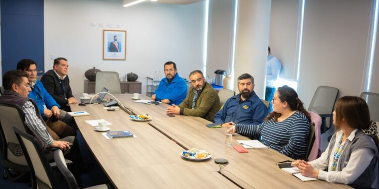 Puerto San Antonio y organismos públicos coordinan acciones para nueva temporada de cruceros en terminal DP World