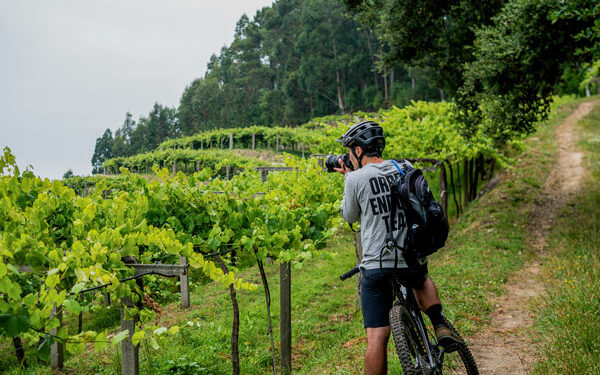 Rías Baixas, el destino más deseado entre los enoturistas españoles