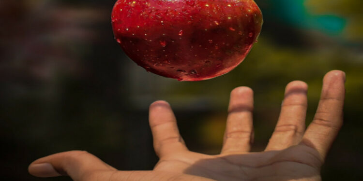 Solar food