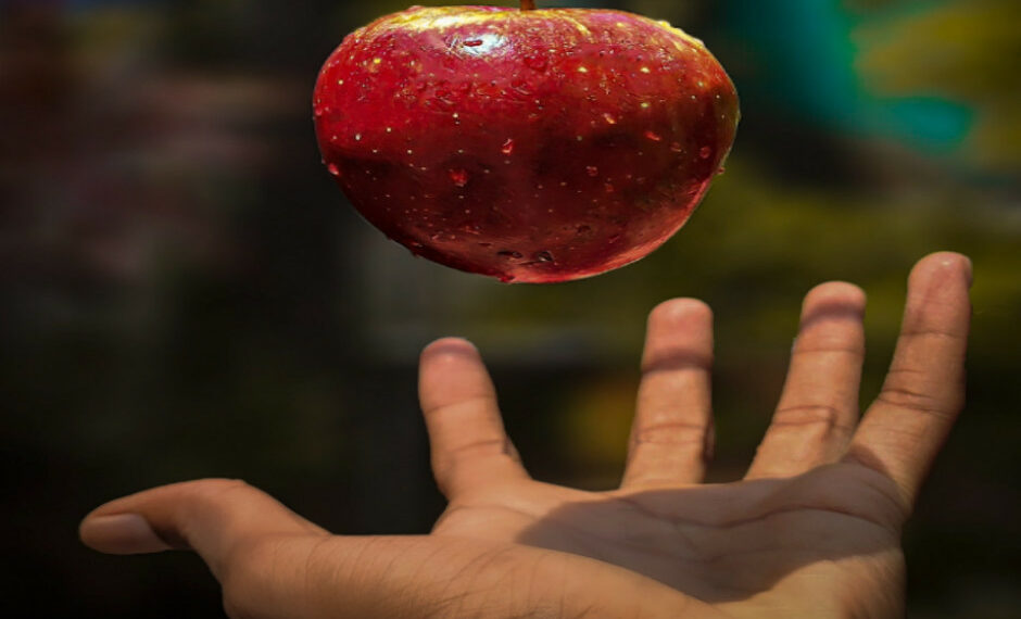 Solar food