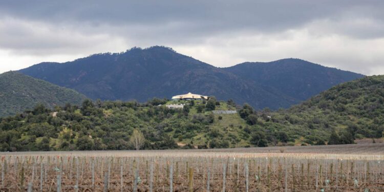 Un paseo por la Viña Vik: la obsesión con el terroir y con producir los mejores vinos del mundo