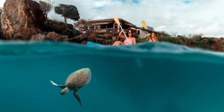 Un plan diferente para cada región de Puerto Rico