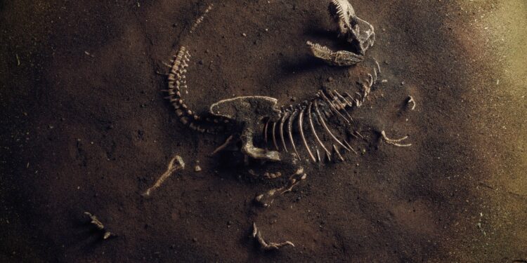 Viajamos tras las huellas de los dinosaurios en España