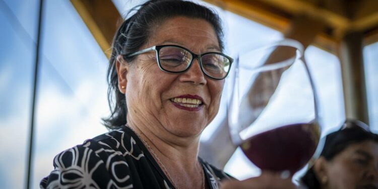 Viajar en tren nuevamente es una gran opción para adultos mayores – Publimetro Chile