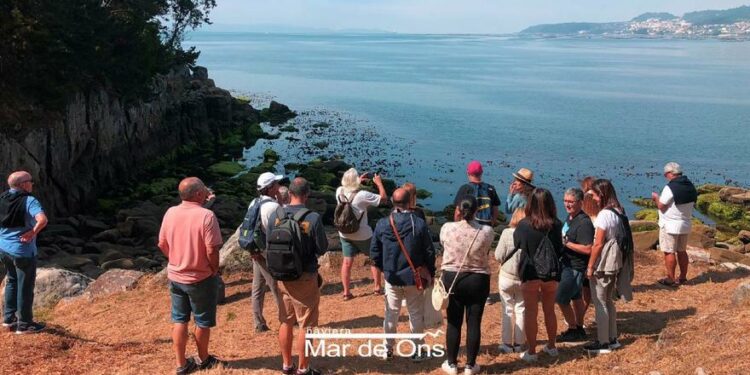 Viajes a la Isla de Tambo