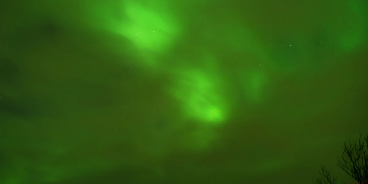 Viajes en barco para ver la aurora polar y snorkel accesible