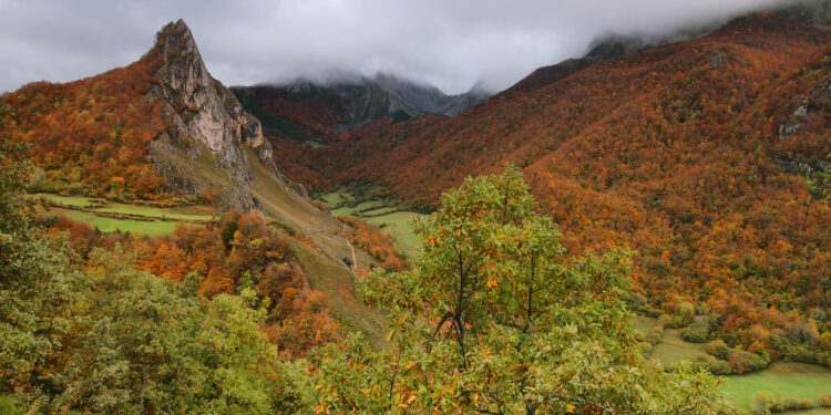 Parque Natural de Somiedo.