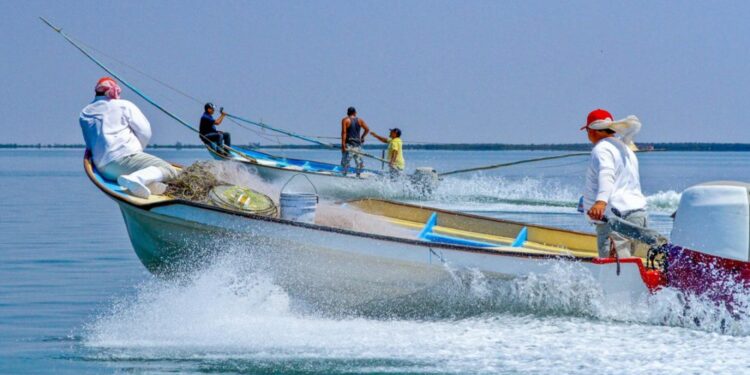 ¡Les va bien! Sinaloa empieza a pagar el Bienpesca estatal y federal