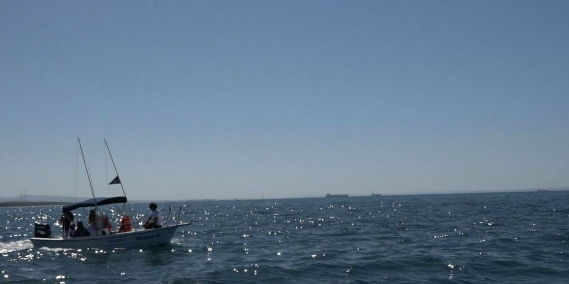 Viajes 'de gorra' a niños con algún tipo de discapacidad, ofrecen agencias turísticas