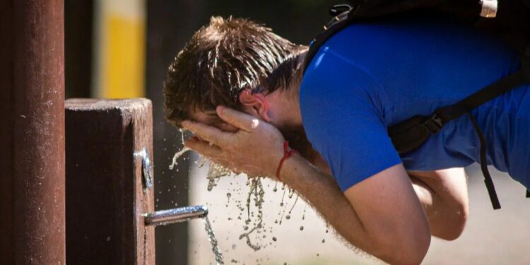 Alerta meteorológica por calor extremo: cuándo comienza y qué provincias se verán afectadas