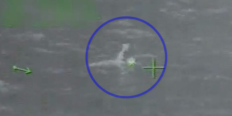 Así fue el “milagroso” rescate de un hombre que cayó de un crucero y pasó más de 15 horas en el agua | Noticias Univision