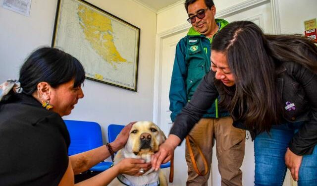 BRIGADA CANINA DE SAG MAGALLANES REALIZARÁ INSPECCIONES DURANTE TEMPORADA DE CRUCEROS EN PUERTO WILLIAMS