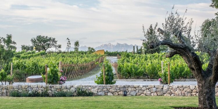 Bodegas Torres, entre los mejores destinos enoturísticos del mundo