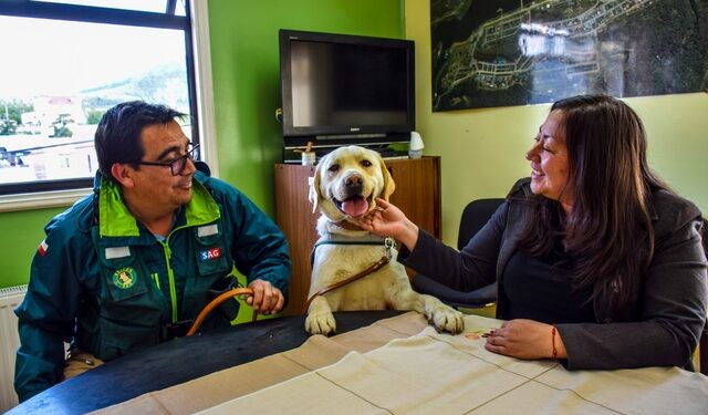 Brigada Canina de SAG Magallanes realizará inspecciones en la temporada de cruceros