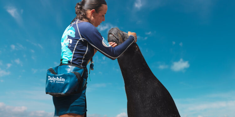 Dolphin Discovery en Quintana Roo recibe premio "Silver Travvy" – Palco Noticias