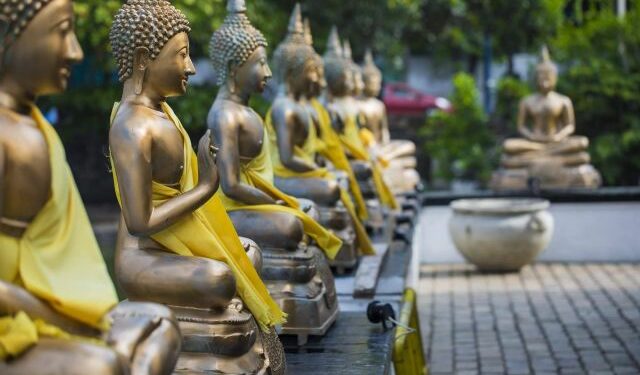 EMPRESA / Sri Lanka Viajes Edén, la agencia de viajes local en Sri Lanka que organiza viajes a medida para los turistas que desean visitar la isla