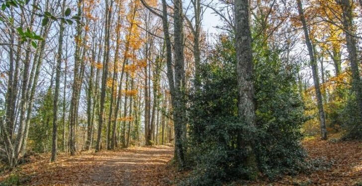El Plan de Sostenibilidad Turística Sierra de Francia ofrece cursos de formación on line al sector