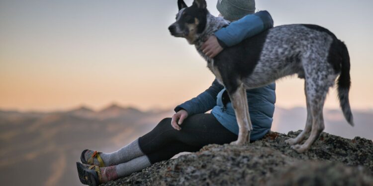 El “pet friendly” favorece a la reactivación turística