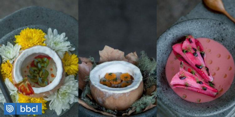 Eligen a restaurante chileno Boragó entre los 50 mejores de Latinoamérica: figura dentro del top 10 | Turismo & Viajes