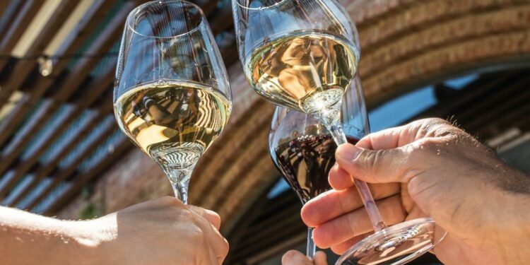 Familia Torres, entre las mejores bodegas catalanas del mundo