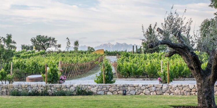 Familia Torres se sitúa en la posición 34 del ranking 'World's Best Vineyards 2022'