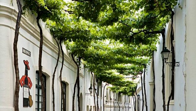 Calle Ciegos, considerada una de las m