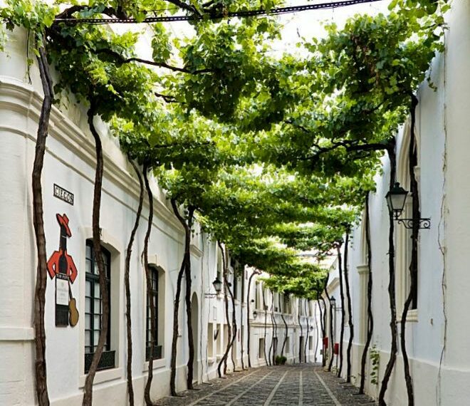 Calle Ciegos, considerada una de las m