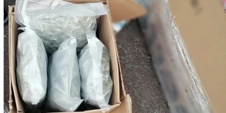 Drogas incautadas por la GN (Guardia Nacional)