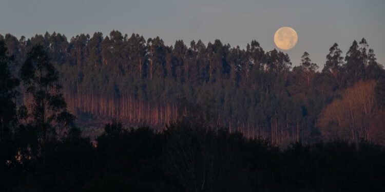 La Xunta pone en valor la importancia de los paquetes turísticos desarrollados en las zonas afectadas por los incendios forestales en Lugo y Ourense