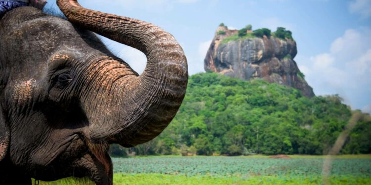 La agencia de viajes local en Sri Lanka que organiza viajes a medida para los turistas que desean visitar la isla, Sri Lanka Viajes Edén