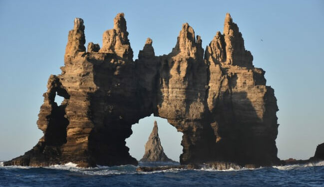 Lo que tienes que saber sobre el Parque Nacional Revillagigedo.