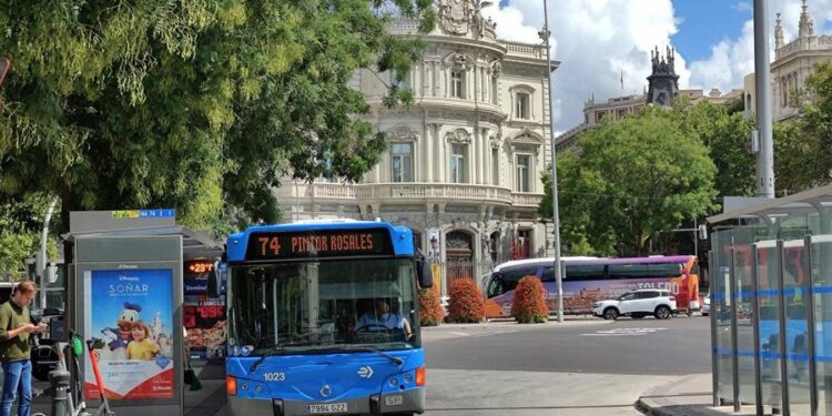 Los viajes en autobús en la capital volverán a ser gratuitos este 'Black Friday'