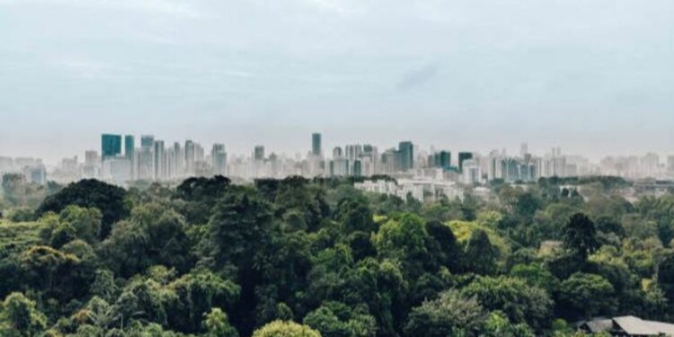 Los Baby Boomer son amantes de la naturaleza